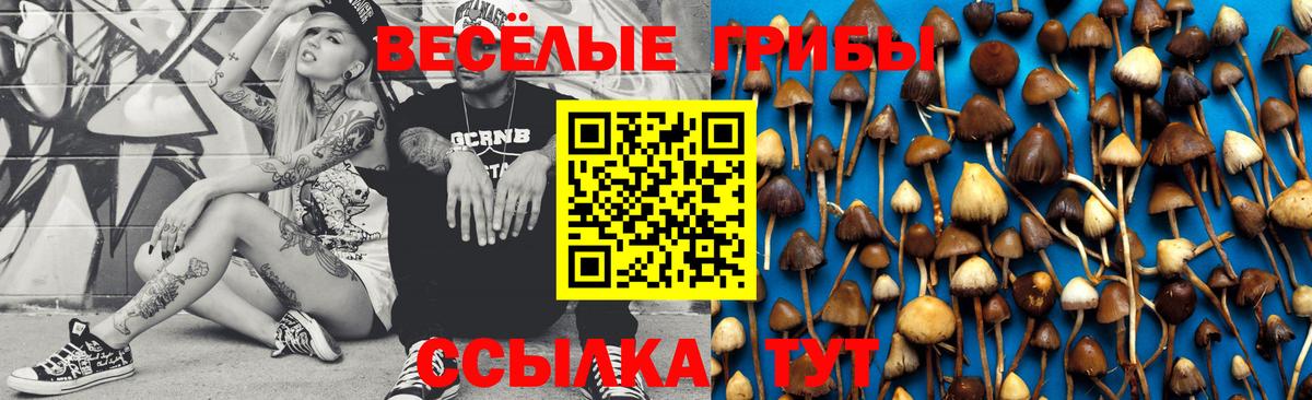 Псилоцибиновые грибы ЛСД Кушва